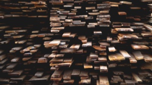 das-richtige-holz